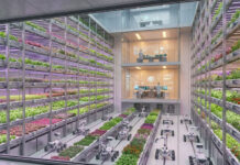 Precision Irrigation Powers the Next Wave of Smart Farming Growth